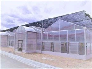 Capacitat meteorològica Full de policarbonat